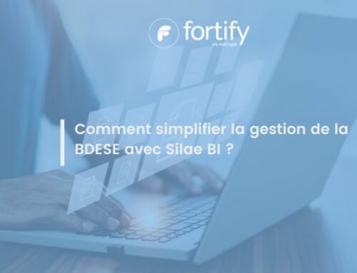 Comment simplifier la gestion de la BDESE avec Silae BI ?